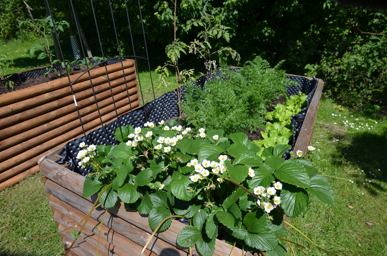 Ein Hochbeet an der Wohnanlage.