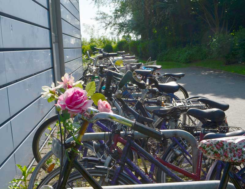 Die Wohnanlage Ostenbergstraße 97-101 des Studierendenwerks Dortmund, Außenansicht mit Fahrradparkplätzen..