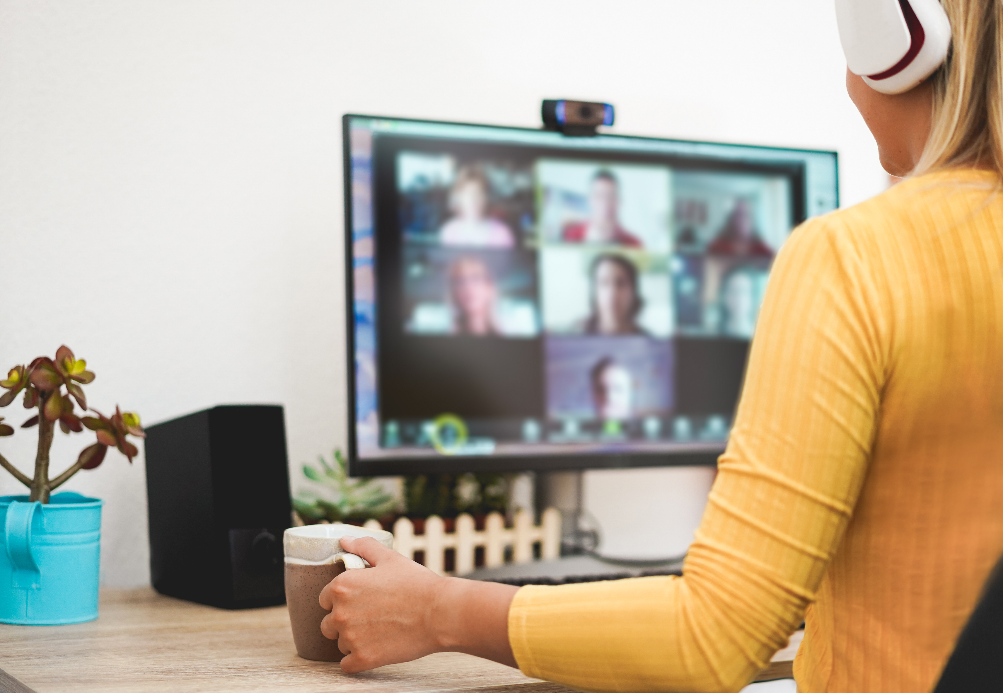 Frau Monitor bei einer Videokonferenz